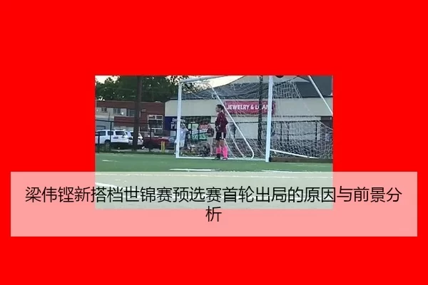 liang-wei-keng-xin-da-dang-shi-jin-sai-yu-xuan-sai-shou-lun-chu-ju-de-yuan-yin-yu-qian-jing-fen-xi-2-225.jpg